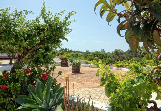 Villa em Albufeira - Villa Monte da Madrinha Villa em Albufeira - Villa Monte da Madrinha