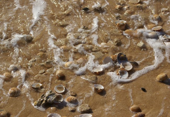 Villa em Albufeira - Villa Gianni Villa em Albufeira - Villa Gianni