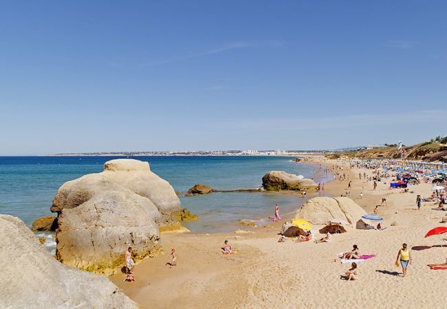 Villa em Albufeira - Villa Dois Pinheiros Villa em Albufeira - Villa Dois Pinheiros