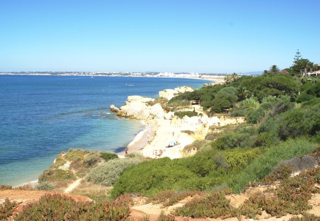 Villa em Albufeira - Villa Minerva Villa em Albufeira - Villa Minerva