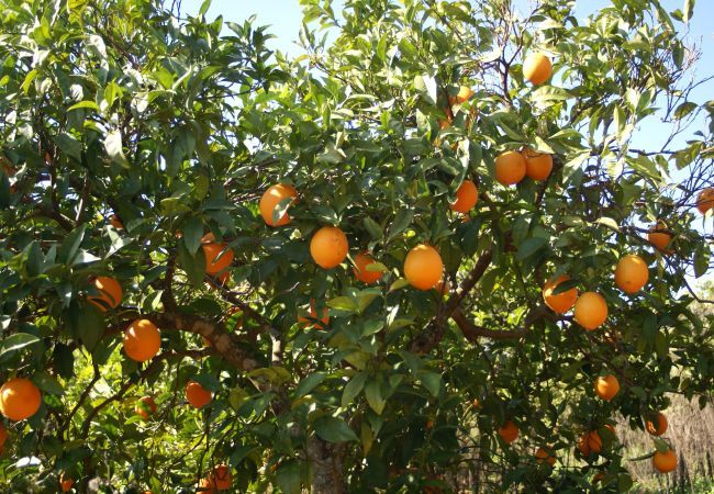 Villa em Albufeira - Villa Gira Villa em Albufeira - Villa Gira