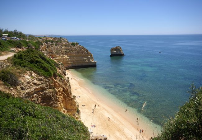 Apartamento em Albufeira - Casa Pluma Apartamento em Albufeira - Casa Pluma