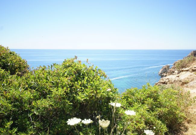 Apartamento em Albufeira - Casa Pluma Apartamento em Albufeira - Casa Pluma