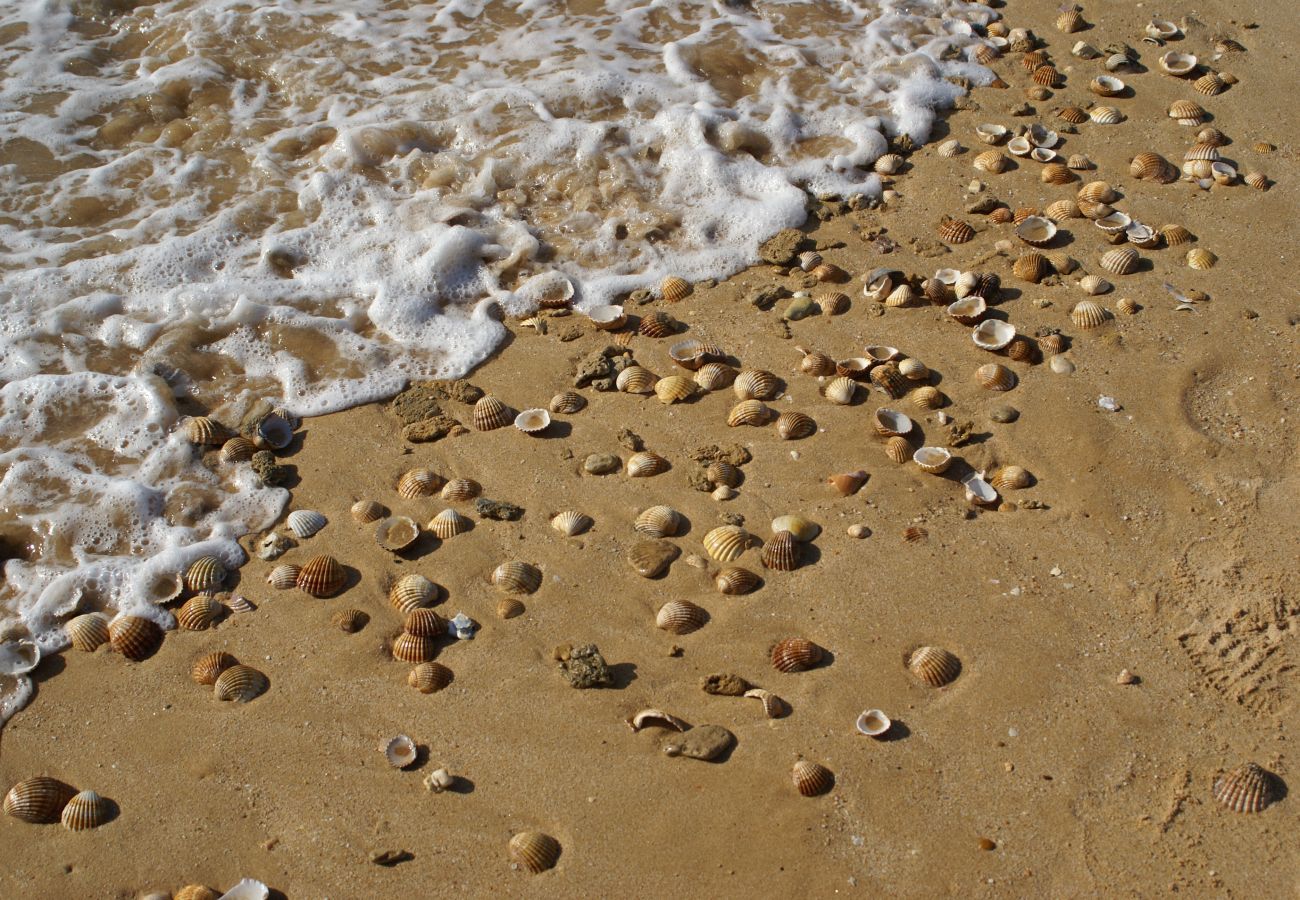 Villa em Albufeira - Villa Coelha Villa em Albufeira - Villa Coelha