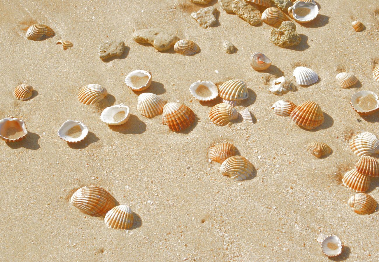 Villa em Albufeira - Villa Coelha Villa em Albufeira - Villa Coelha